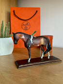 Miniatura de Cavalo - (