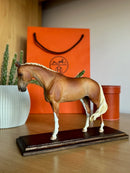 Miniatura de Cavalo - (