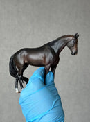 Miniatura de Cavalo - (